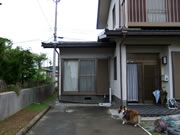 �J�[�|�[�g�{�H�O