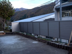 �e���X�{�H��