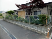 �e���X�{�H�O