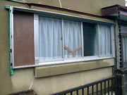 �f�M�T�b�V�{�H�O