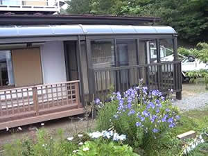 �E�b�h�f�b�L