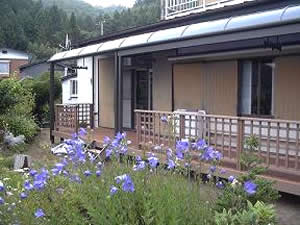 ���C�U�[�e���X