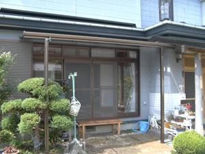 �e���X�{�H��