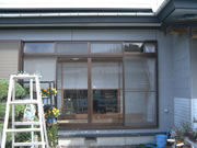 �e���X�{�H�O