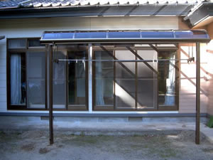 �e���X�{�H��