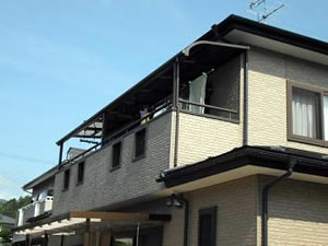 �e���X�{�H��