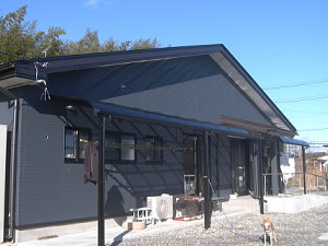 �e���X�{�H��