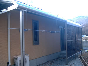 �e���X�{�H��