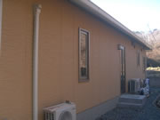 �e���X�{�H�O