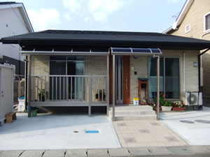 �e���X�{�H��