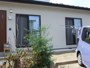 �e���X�{�H�O