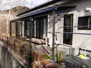 �e���X�{�H��